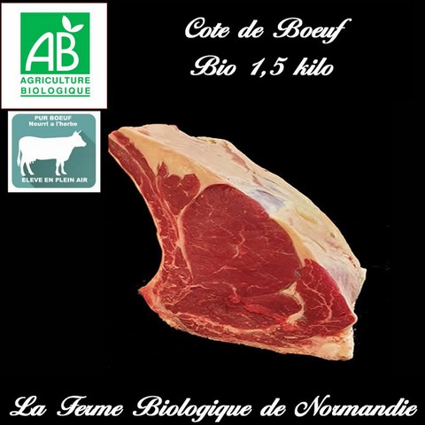 Filet  boeuf d'herbe bio limousine